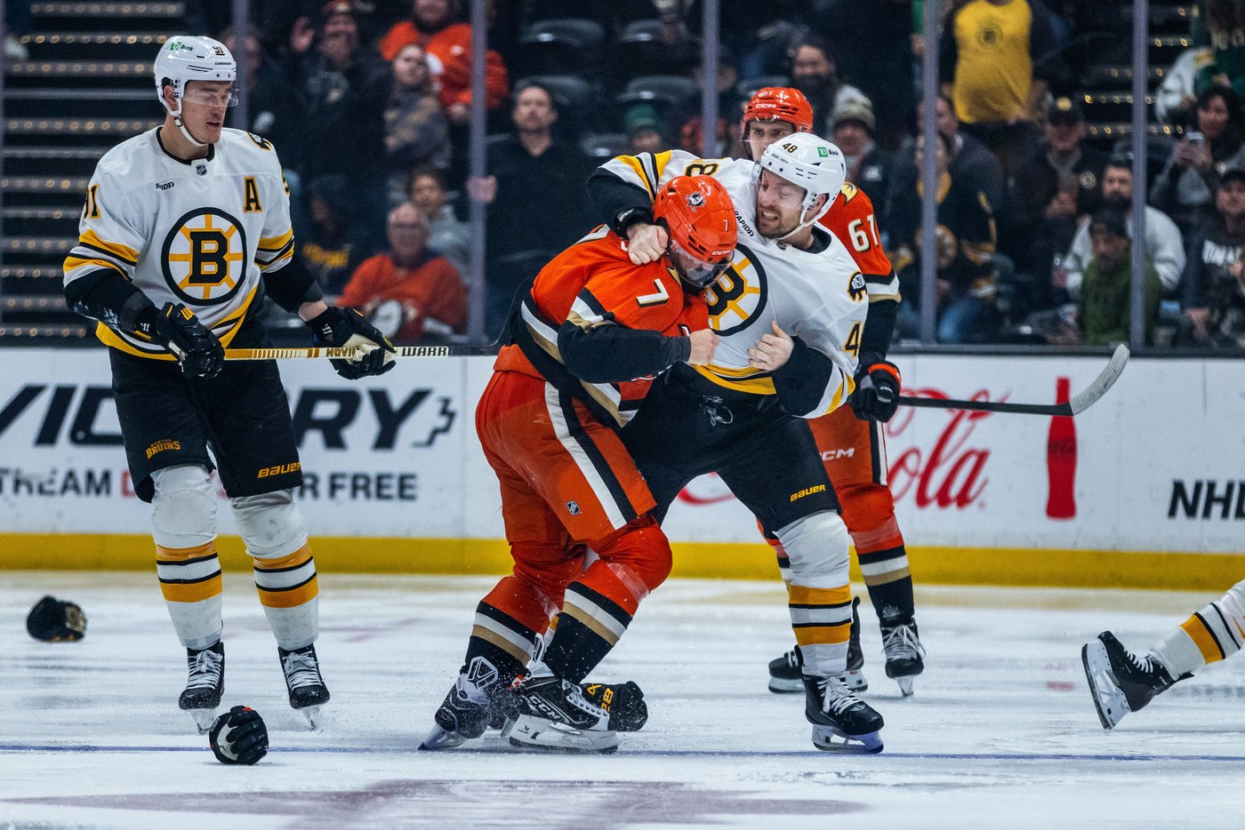 Anaheim Ducks acquire tough forward Jeffrey Viel from Boston Bruins in trade for 4th-round pick | iNFOnews.ca