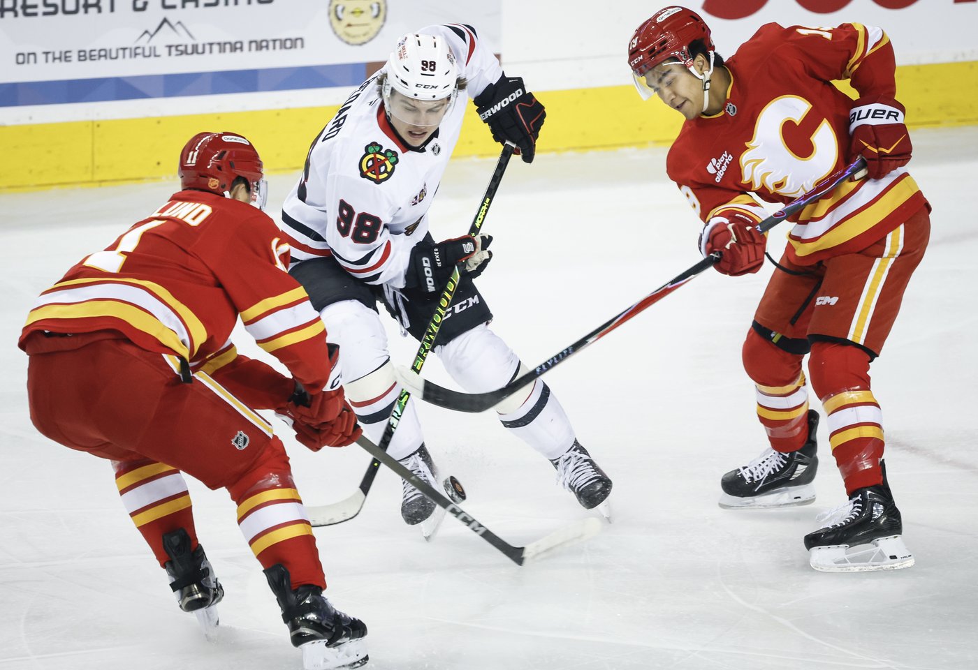 Connor Bedard lifts Blackhawks past Flames with four-point night | iNFOnews.ca Connor Bedard lifts Blackhawks past Flames with four-point night | iNFOnews.ca