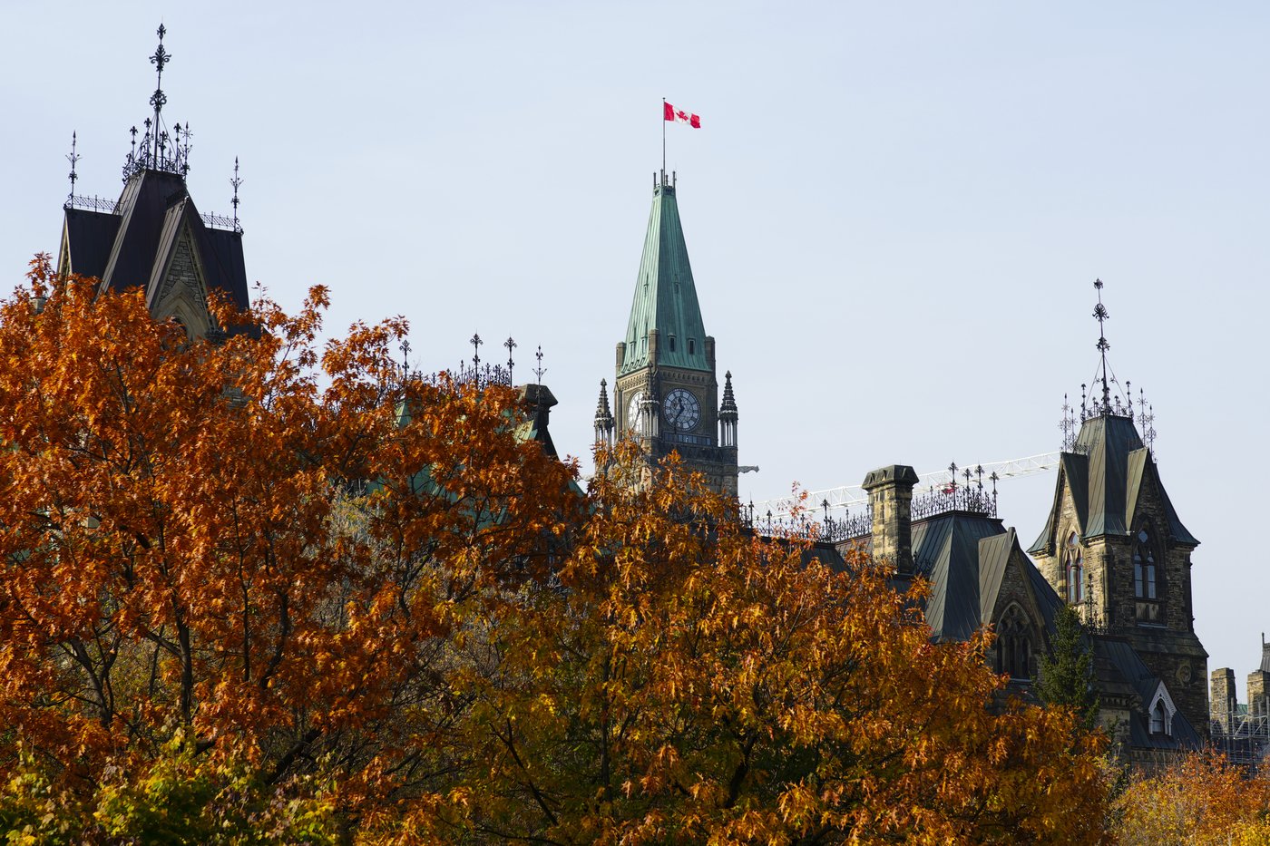 Only new firearms from buyback program will go to Ukraine, Defence Department says | iNFOnews.ca