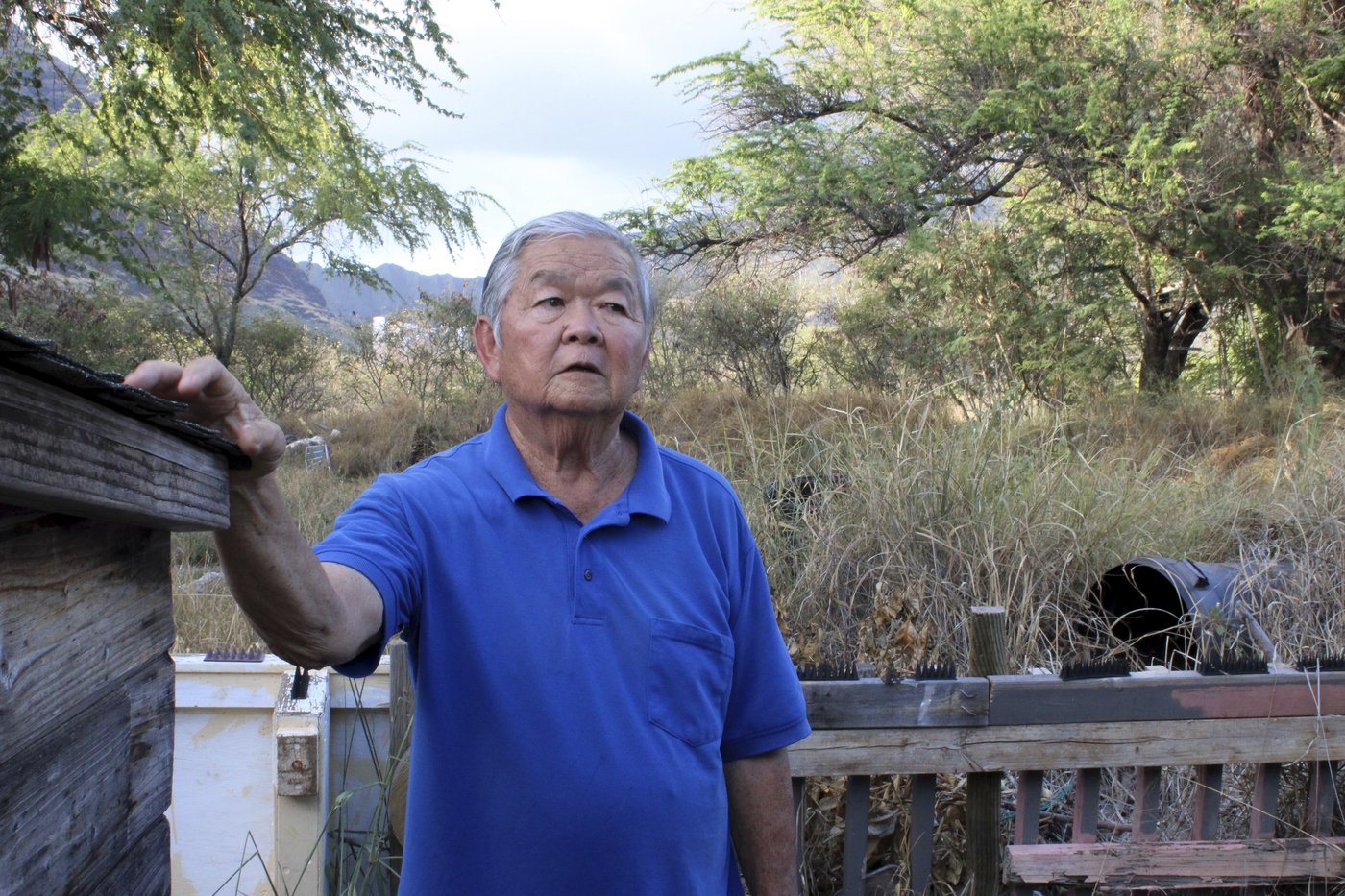 Could this Hawaii community be the next Lahaina? Some residents fear a similar wildfire fate | iNFOnews.ca Could this Hawaii community be the next Lahaina? Some residents fear a similar wildfire fate | iNFOnews.ca