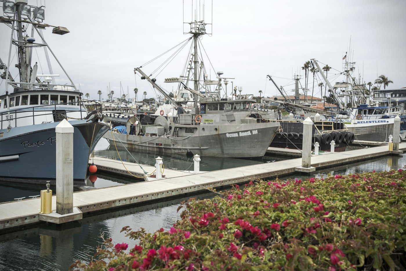 As Trump pares back ocean protections, California weighs expanding them | iNFOnews.ca