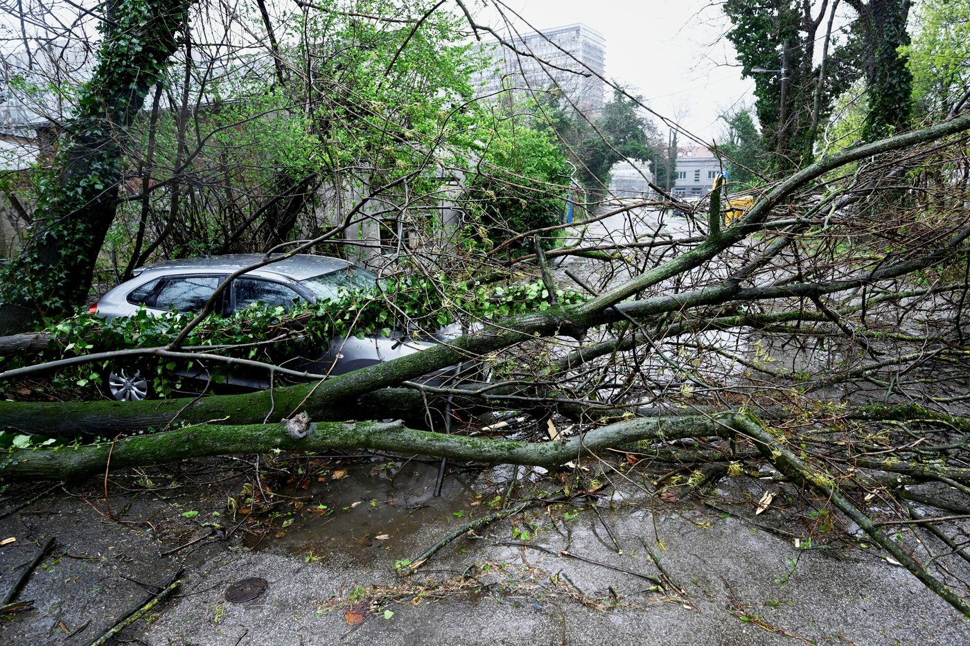 Snow and stormy winds close schools and roads, and cut power in some Balkan countries | iNFOnews.ca