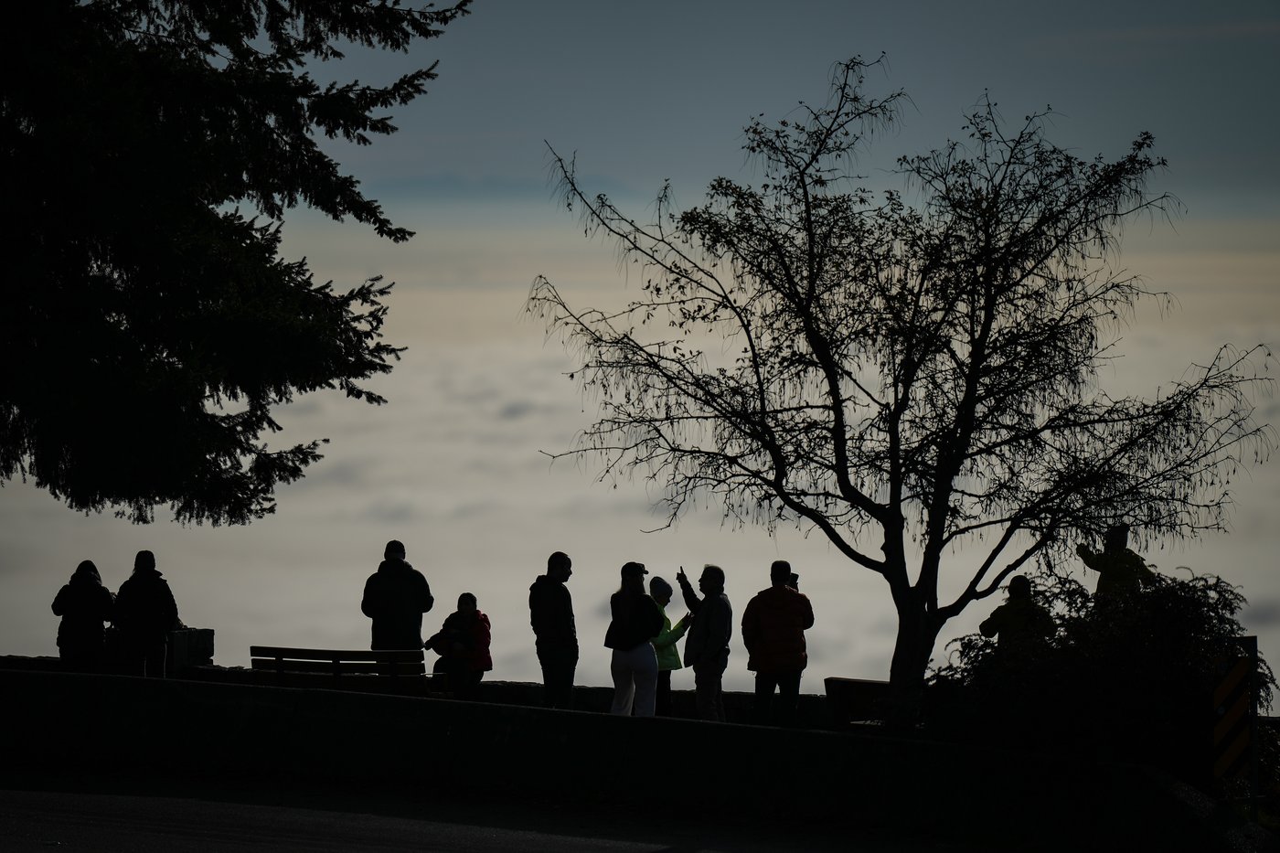 Campaign urges skilled labour to 'Stay with B.C.' to counter efforts from Alberta | iNFOnews.ca