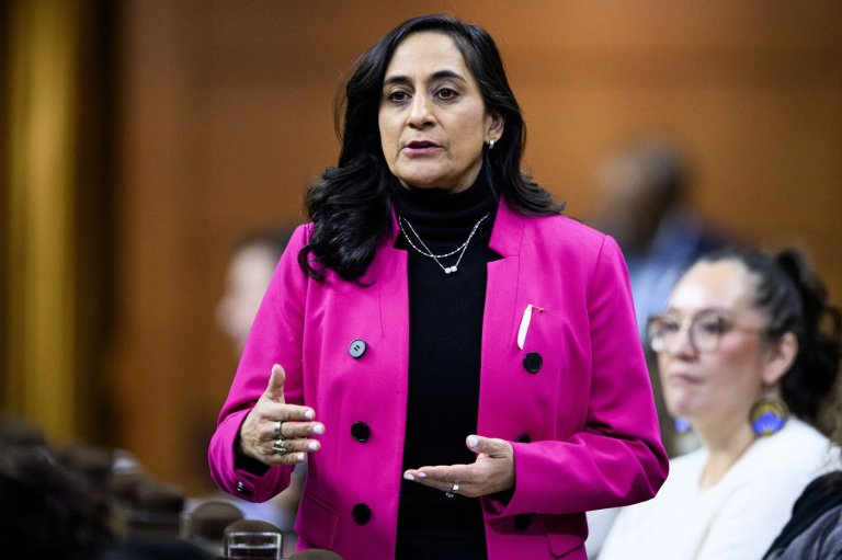 MPs ask Anand to get answers from Israel after West Bank delegation denied | iNFOnews.ca