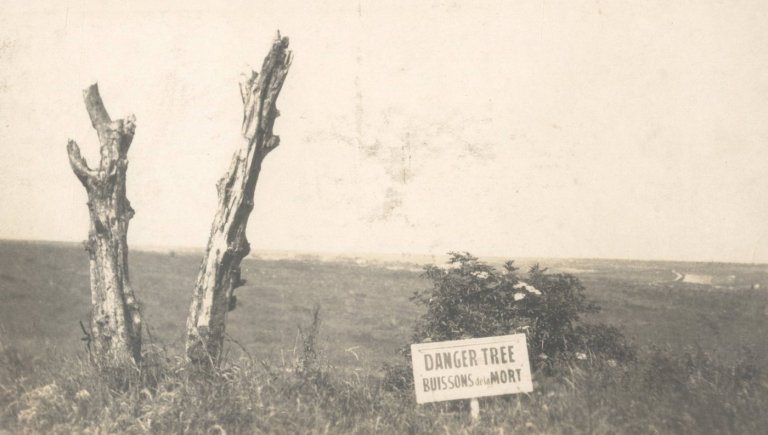 Danger tree installation in France marks 'futility of loss' for Newfoundland Regiment | iNFOnews.ca