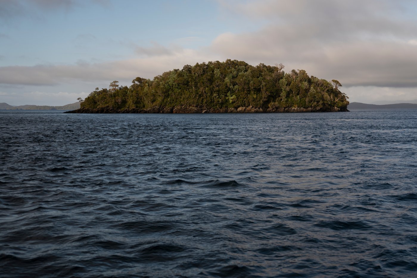 In southern Chile, locals push to protect oceans that have been hurt by intensive salmon farming | iNFOnews.ca In southern Chile, locals push to protect oceans that have been hurt by intensive salmon farming | iNFOnews.ca