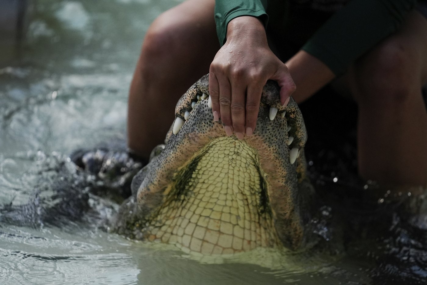 In Florida, the Miccosukee fight to protect the Everglades in the face of climate change | iNFOnews.ca