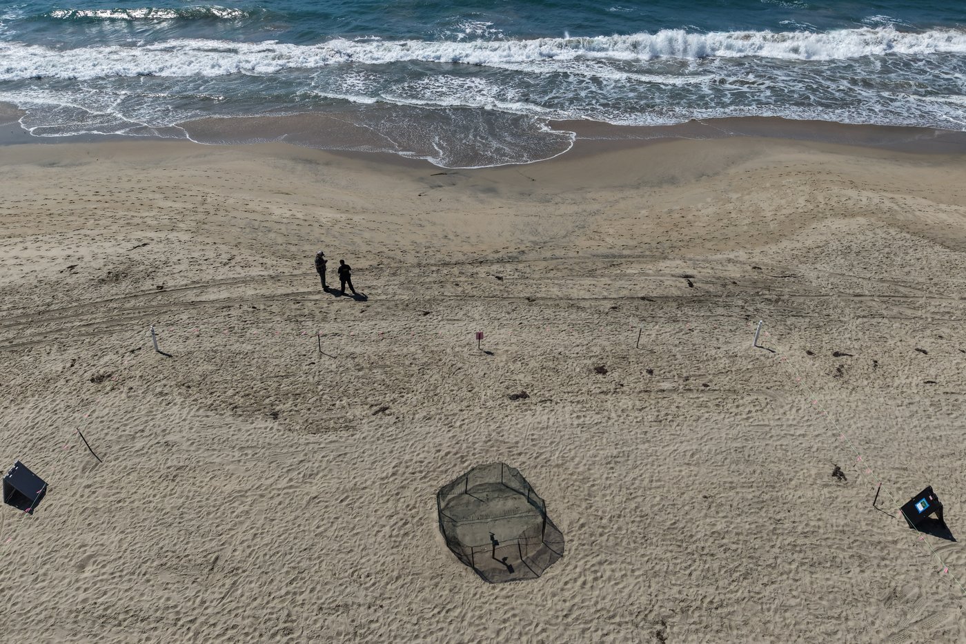 Agency says sea turtle eggs laid on California beaches are a first for the US West Coast | iNFOnews.ca