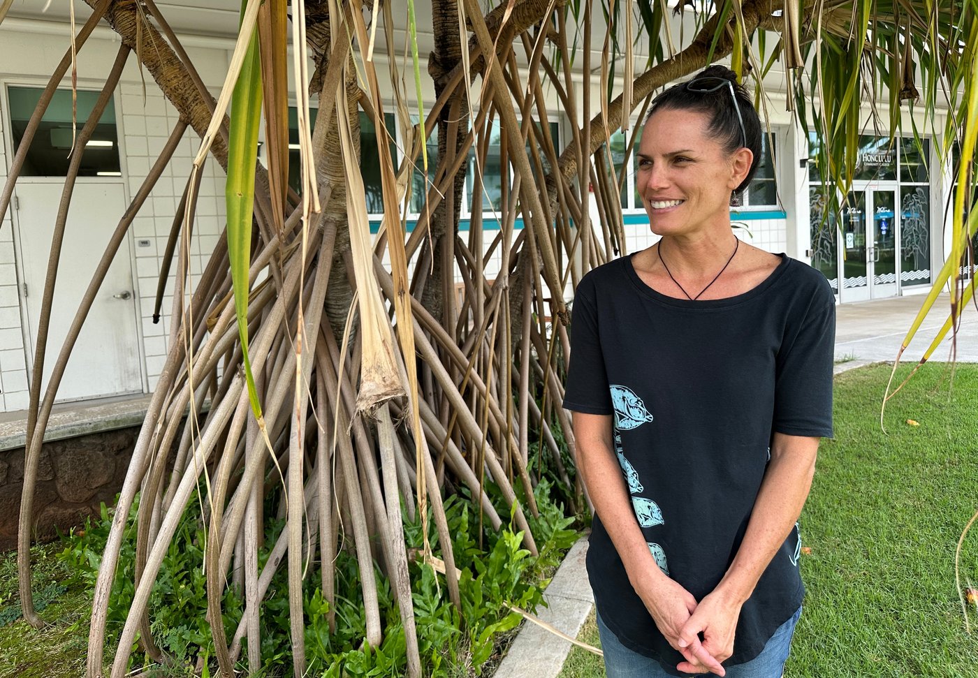 How a seabird native to Hawaii has adapted to life in Honolulu's concrete jungle | iNFOnews.ca How a seabird native to Hawaii has adapted to life in Honolulu's concrete jungle | iNFOnews.ca