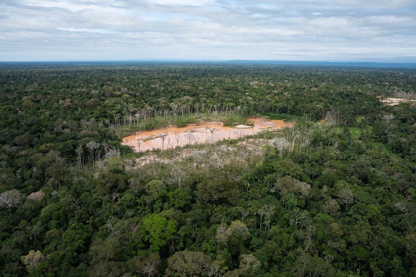 Latin America accounted for 85% of environmental defender killings in 2025, report says | iNFOnews.ca Latin America accounted for 85% of environmental defender killings in 2025, report says | iNFOnews.ca