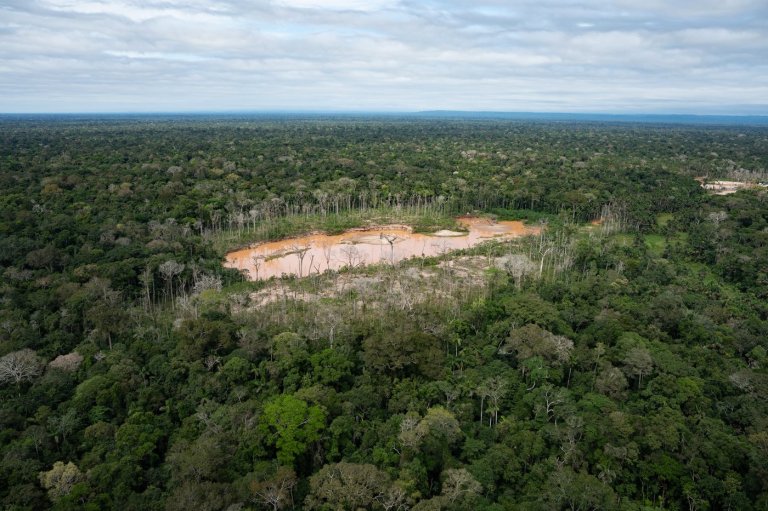 Peru faces human rights court over protections for isolated Indigenous peoples in Amazon | iNFOnews.ca