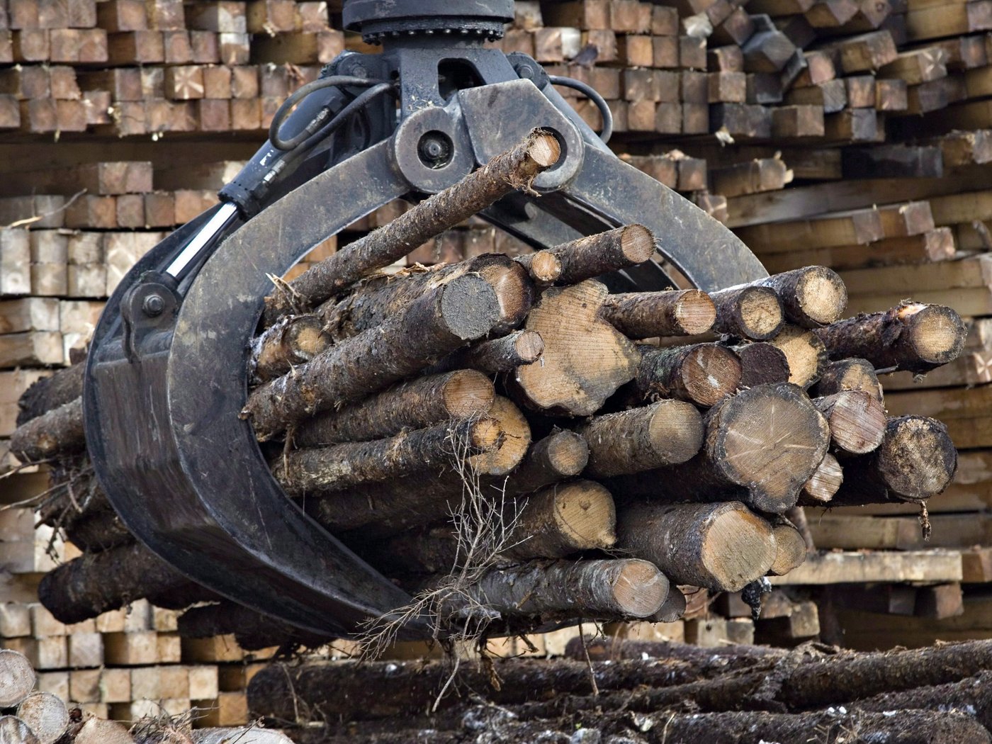 Quebec forest industry already under pressure amid Trump tariff threat: Legault | iNFOnews.ca