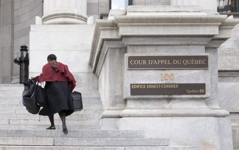 Mandatory minimum for child sex abuse material is unconstitutional, says Quebec court | iNFOnews.ca