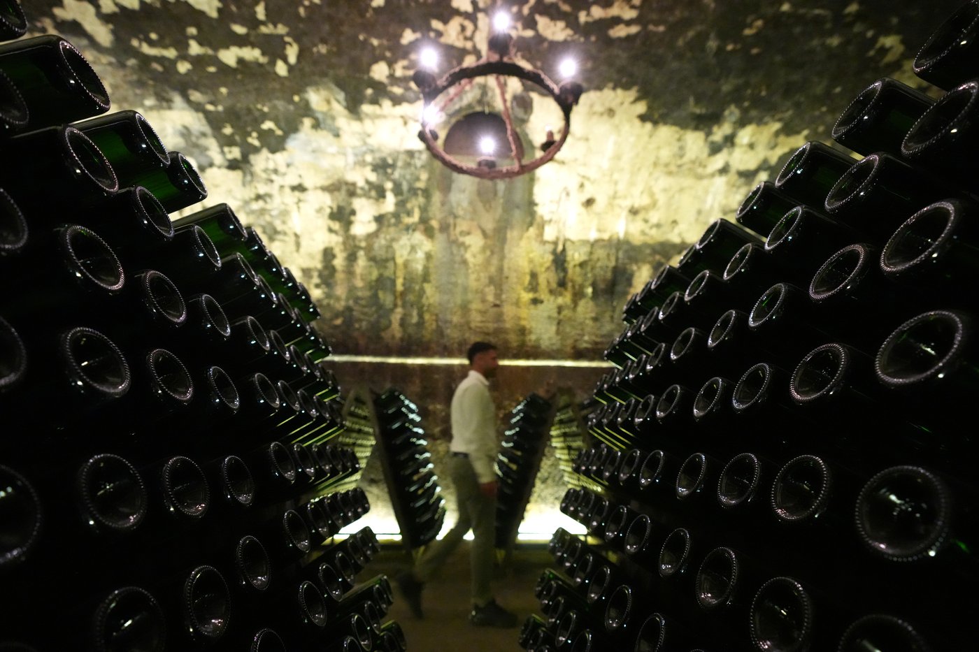 Photos show Italian winemakers harvesting grapes earlier due to extreme heat | iNwine