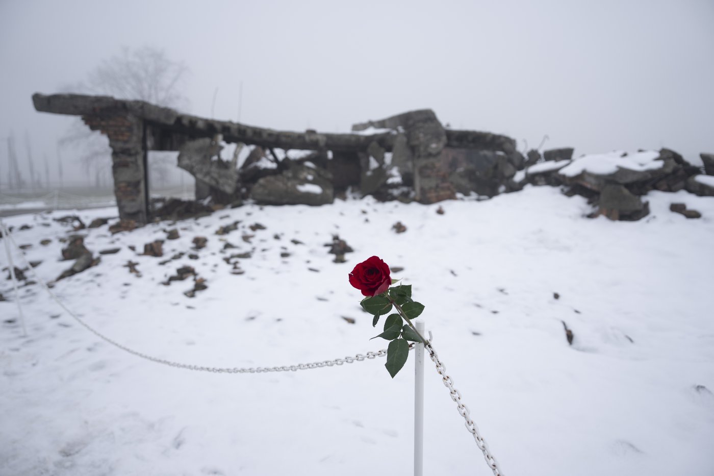 PHOTO COLLECTION: Poland Auschwitz 80th Anniversary | iNFOnews.ca