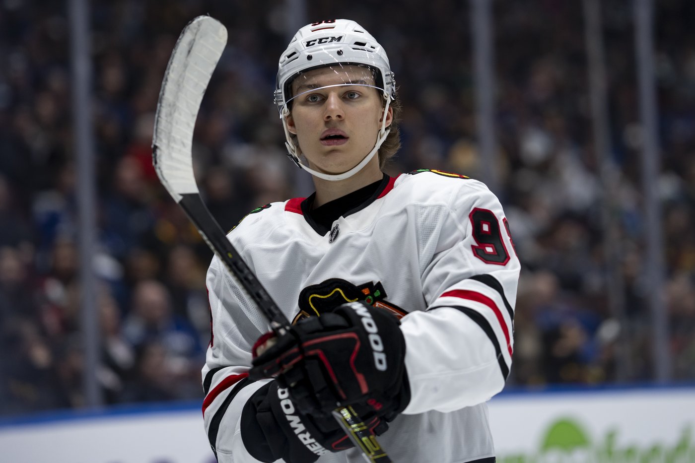 Bedard, Scheifele, 4 Nations winners left off Canada's Olympic men's hockey roster | iNFOnews.ca