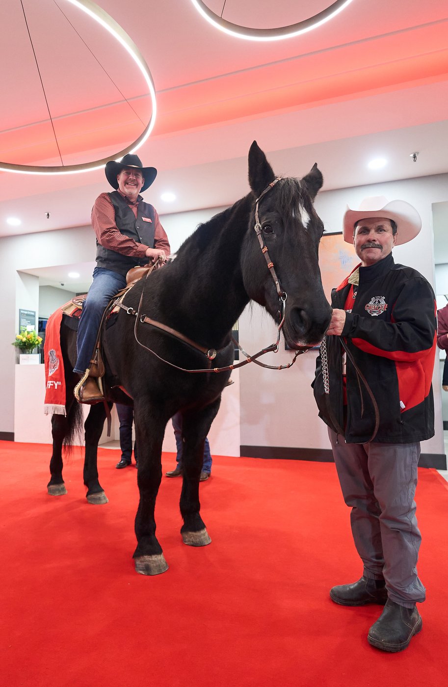 Photo Gallery: Grey Cup horse Tuffy Nuff arrives in Winnipeg | iNFOnews.ca