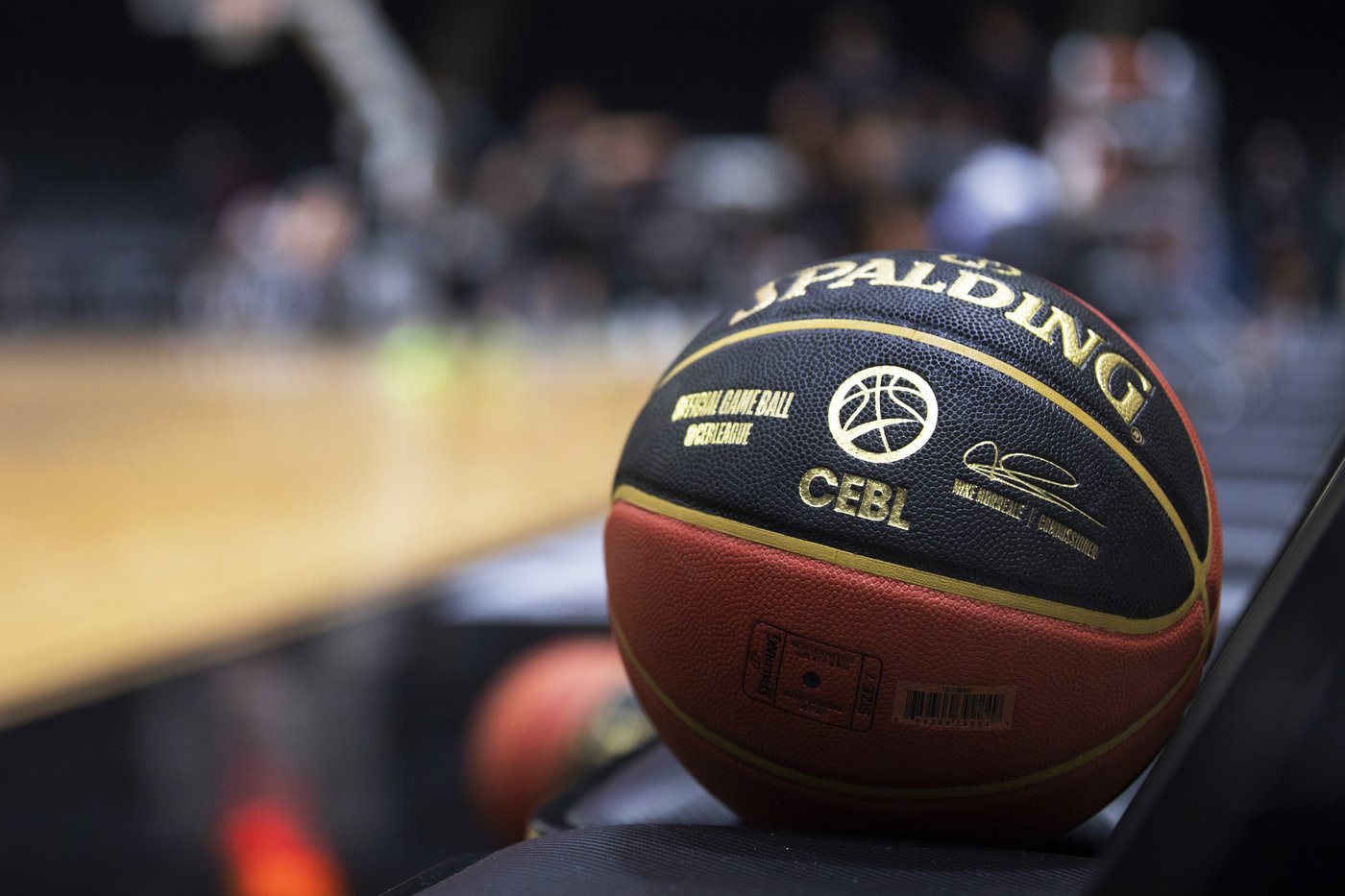 Edmonton Stingers and Calgary Surge renew Alberta rivalry to start CEBL season | iNFOnews.ca