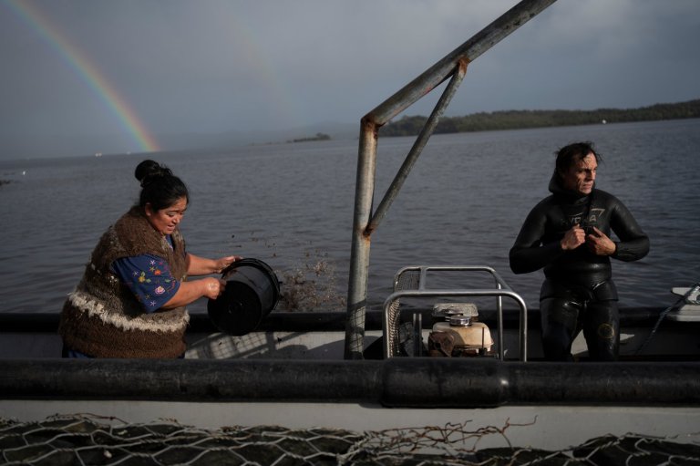 In southern Chile, locals push to protect oceans that have been hurt by intensive salmon farming | iNFOnews.ca
