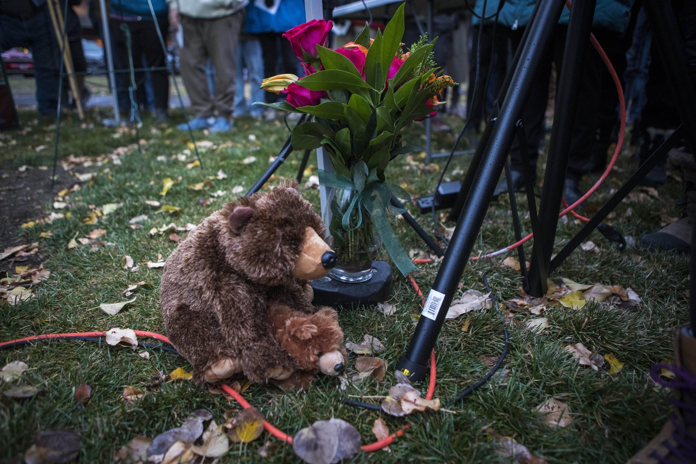 Vigil held for Grizzly No. 399, the beloved Grand Teton bear who was killed by a vehicle | iNFOnews.ca