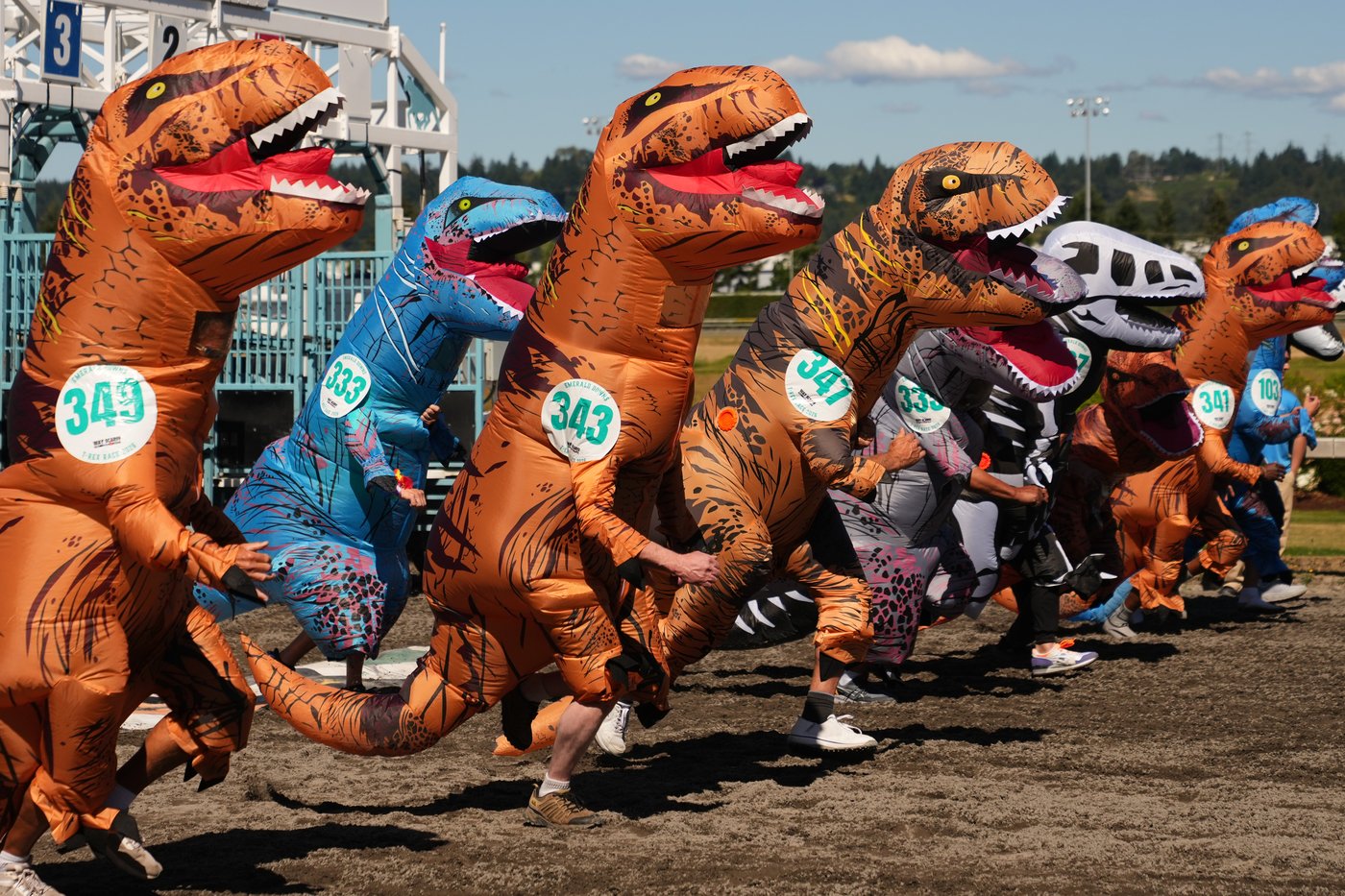 Inflatable dinosaurs race at Emerald Downs, in photos | iNFOnews.ca