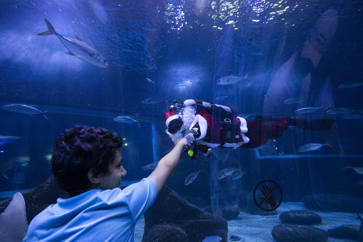 Santa Claus joins sharks for a holiday swim at a Rio de Janeiro aquarium | iNFOnews.ca