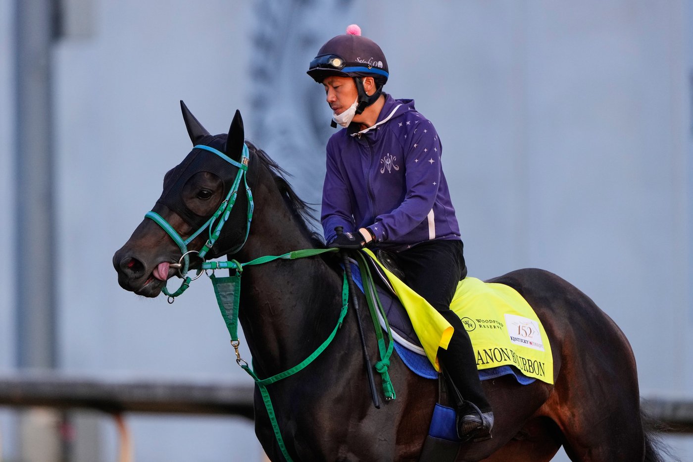 Horse racing in Japan is on the rise. A Kentucky Derby winner could be next | iNFOnews.ca