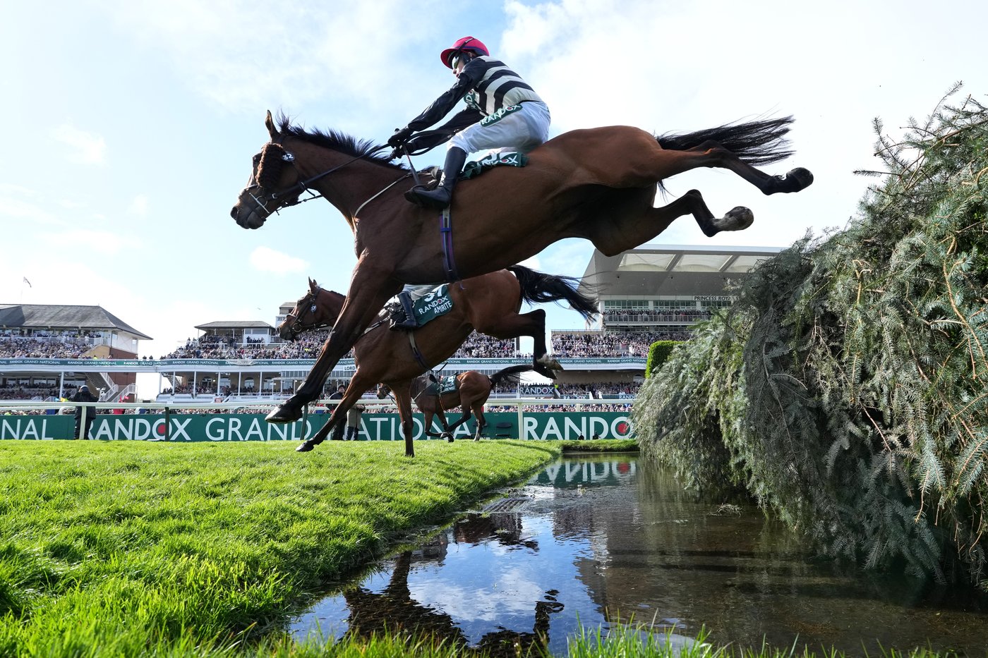 I Am Maximus wins the Grand National for a second time | iNFOnews.ca I Am Maximus wins the Grand National for a second time | iNFOnews.ca