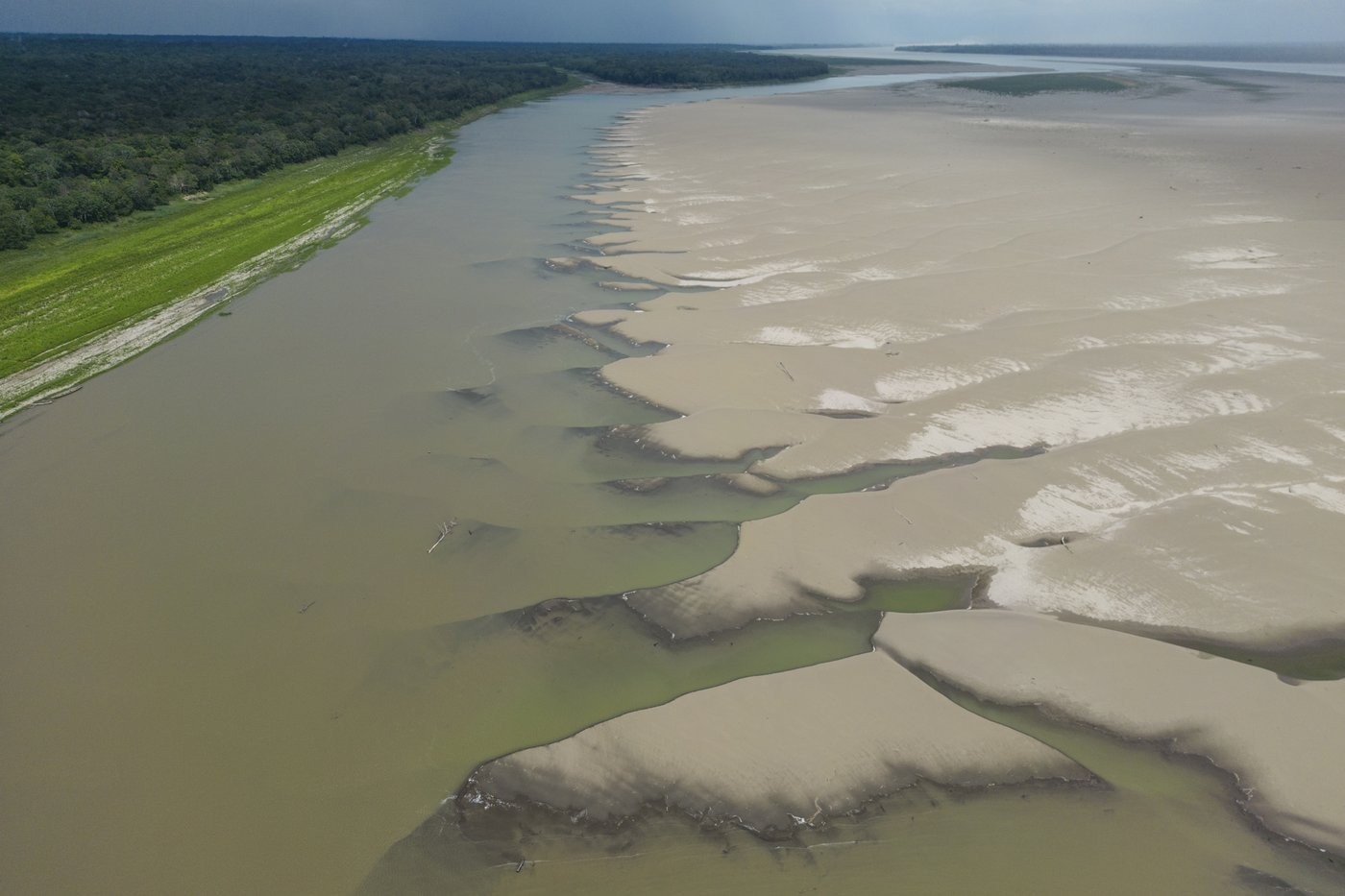 Slight progress in global biodiversity protection efforts but some species decline, new reports find | iNFOnews.ca Slight progress in global biodiversity protection efforts but some species decline, new reports find | iNFOnews.ca
