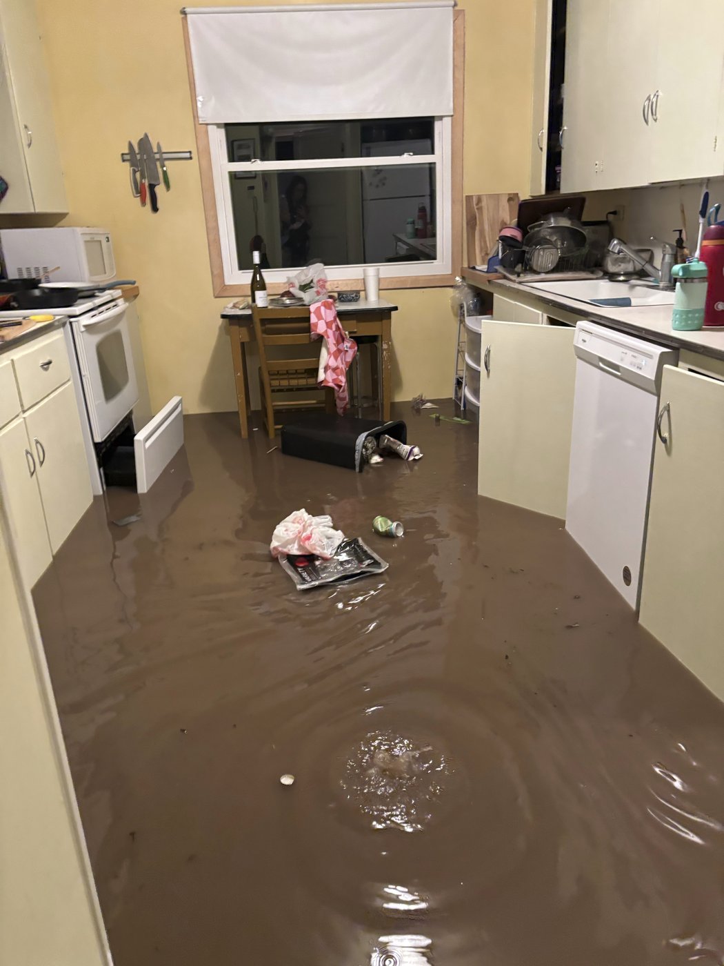 A Texas family clung to life on their roof, capturing the terrifying flooding in photos and video | iNFOnews.ca