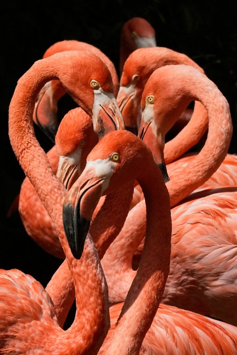 See the world in vertical: Top photos by AP photojournalists | iNFOnews.ca