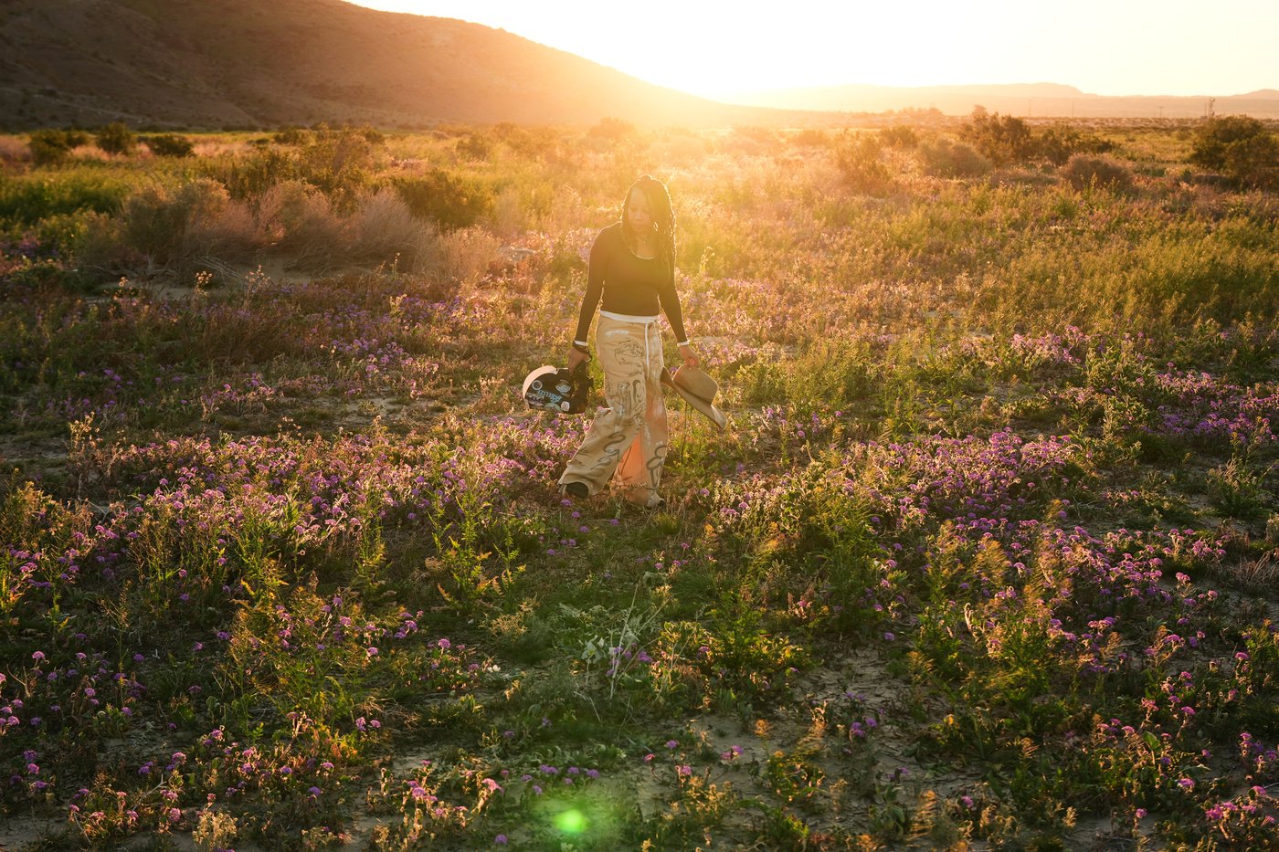 A California photographer is on a quest to photograph hundreds of native bees | iNFOnews.ca