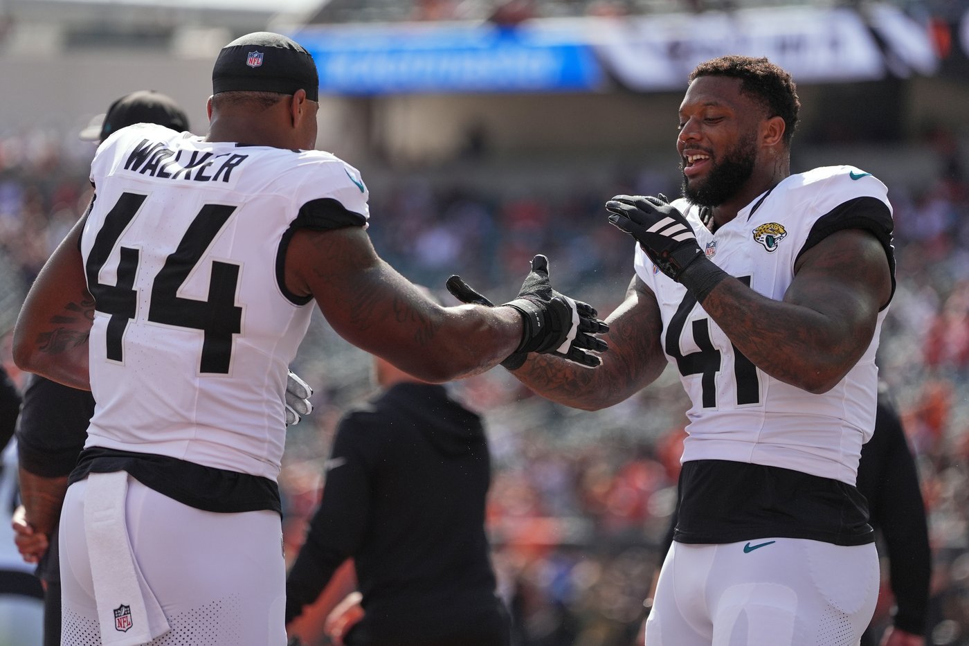 Jaguars' lack of a pass rush has been evident in both of their losses this season | iNFOnews.ca Jaguars' lack of a pass rush has been evident in both of their losses this season | iNFOnews.ca