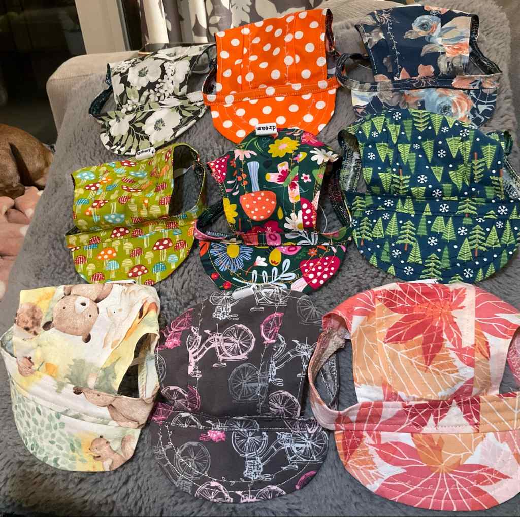 iN PHOTOS: Okanagan dachshund owner makes hats for dogs | iNFOnews.ca