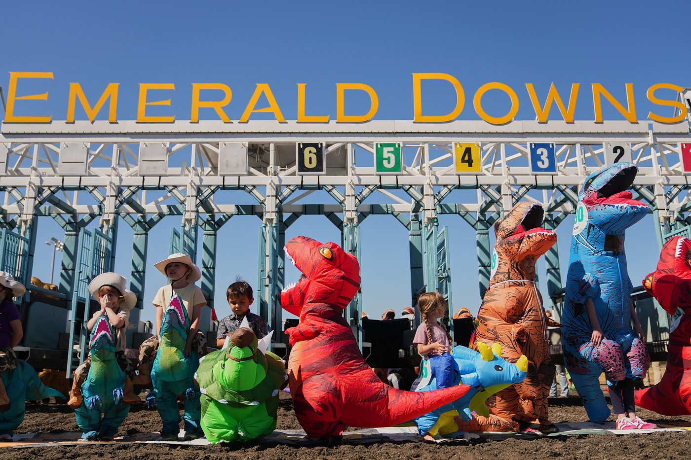 Inflatable dinosaurs race at Emerald Downs, in photos | iNFOnews.ca