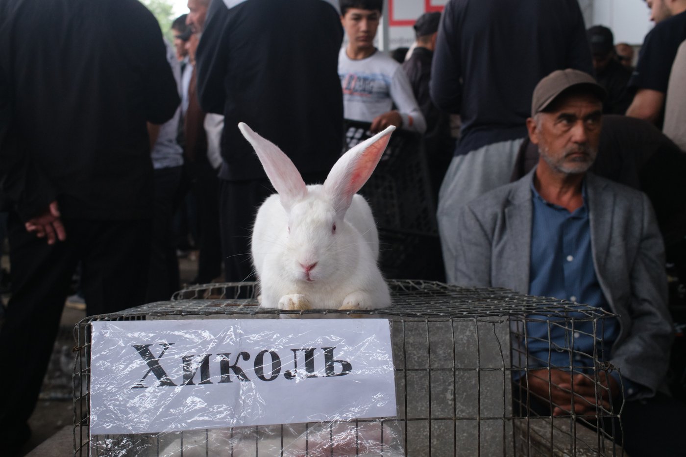 PHOTO ESSAY: A peaceful Tajikistan prepares to mark 35 years of independence | iNFOnews.ca