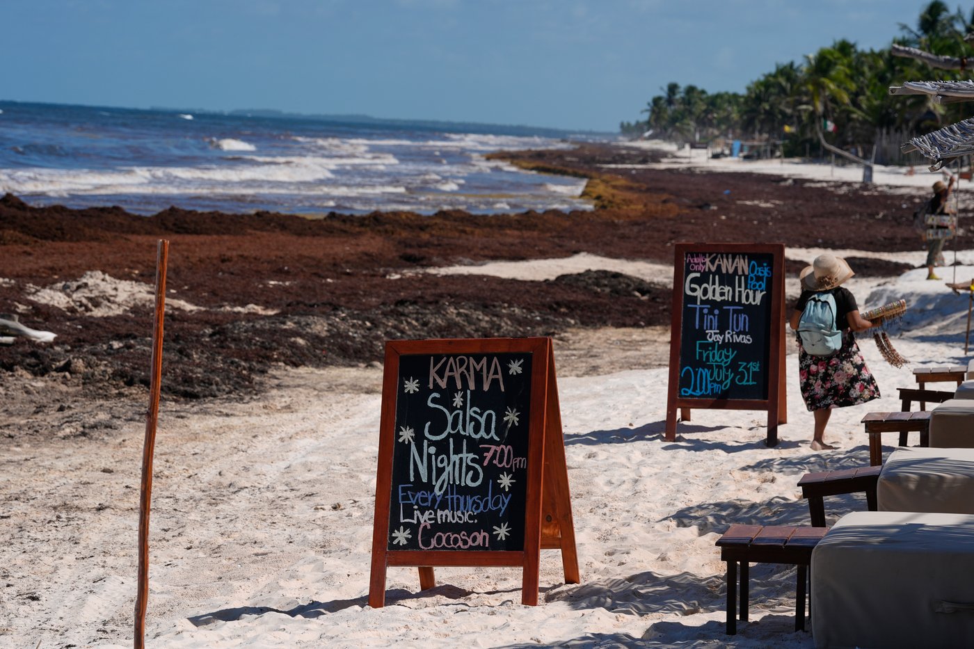 A blanket of seaweed smothers coastlines from the Caribbean to Mexico | iNFOnews.ca