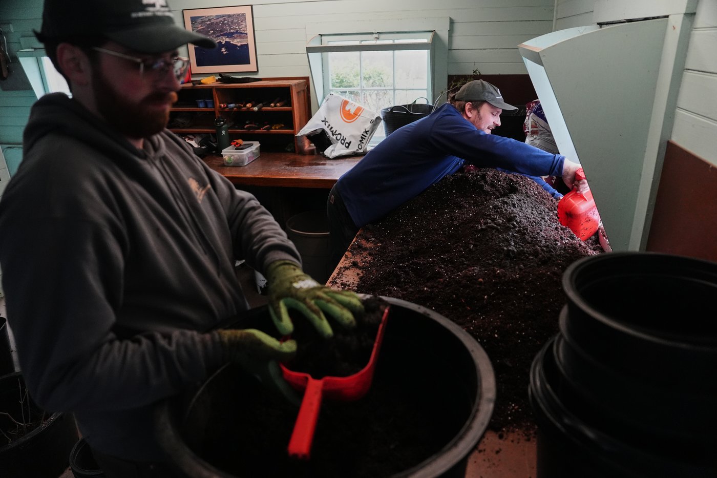 Trees are magic. In Newport, volunteers are working to expand their healthy reach | iNFOnews.ca