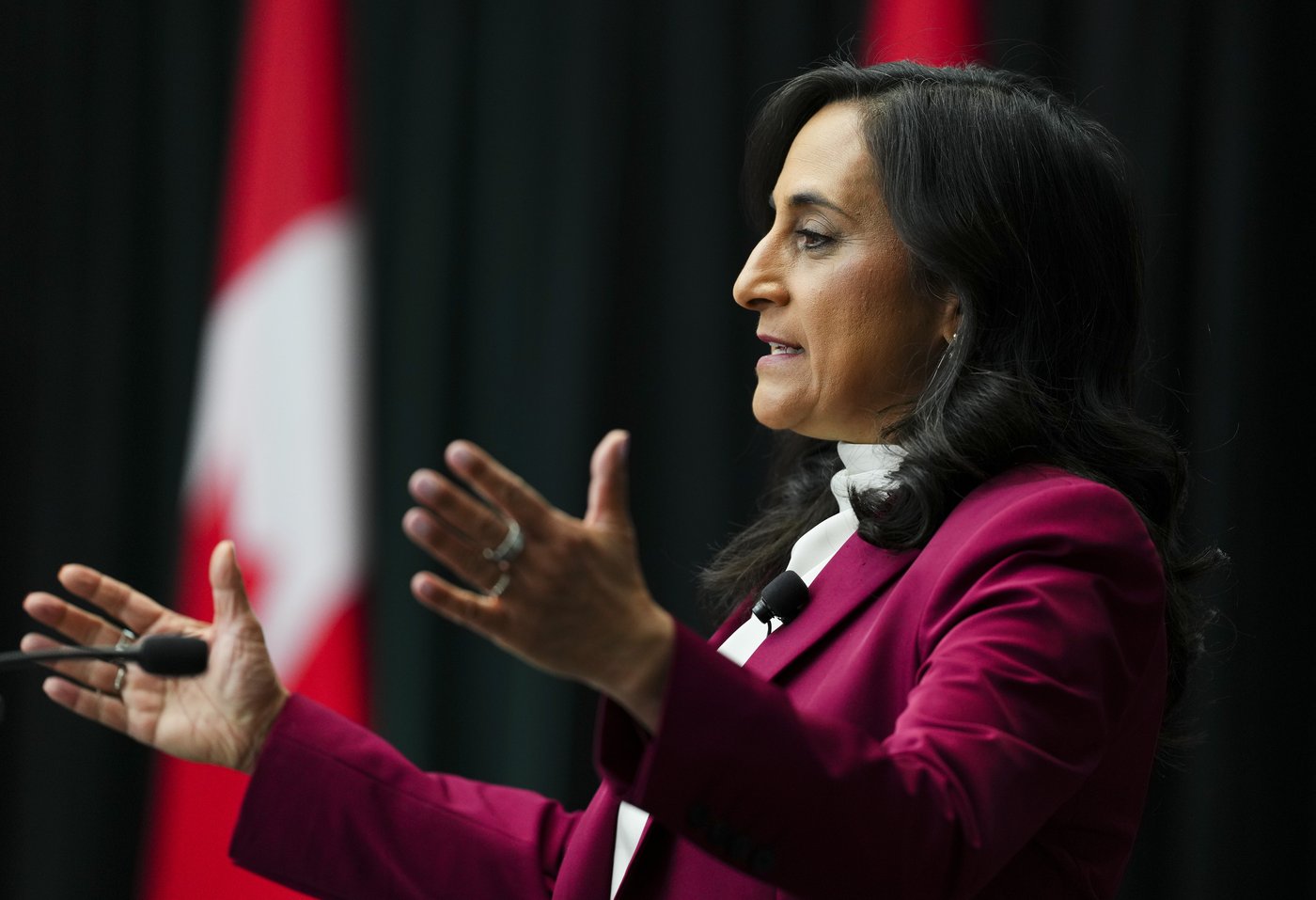 Anand offers Brazil $125M in energy financing, seals wildfire pact amid trade talks | iNFOnews.ca Anand offers Brazil $125M in energy financing, seals wildfire pact amid trade talks | iNFOnews.ca