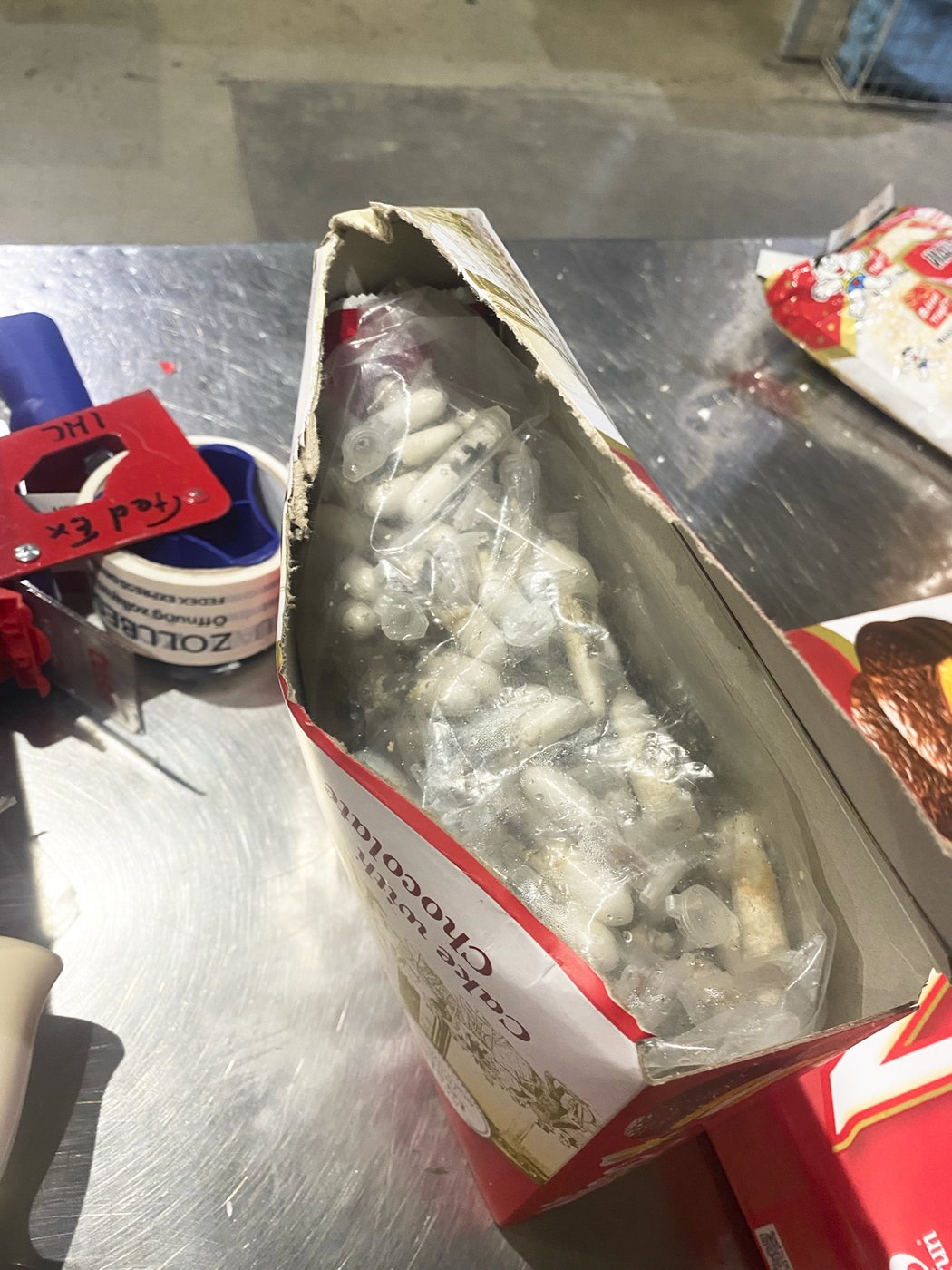 German customs officials show images of tarantulas hidden in spongecake boxes after smuggling bust | iNFOnews.ca German customs officials show images of tarantulas hidden in spongecake boxes after smuggling bust | iNFOnews.ca