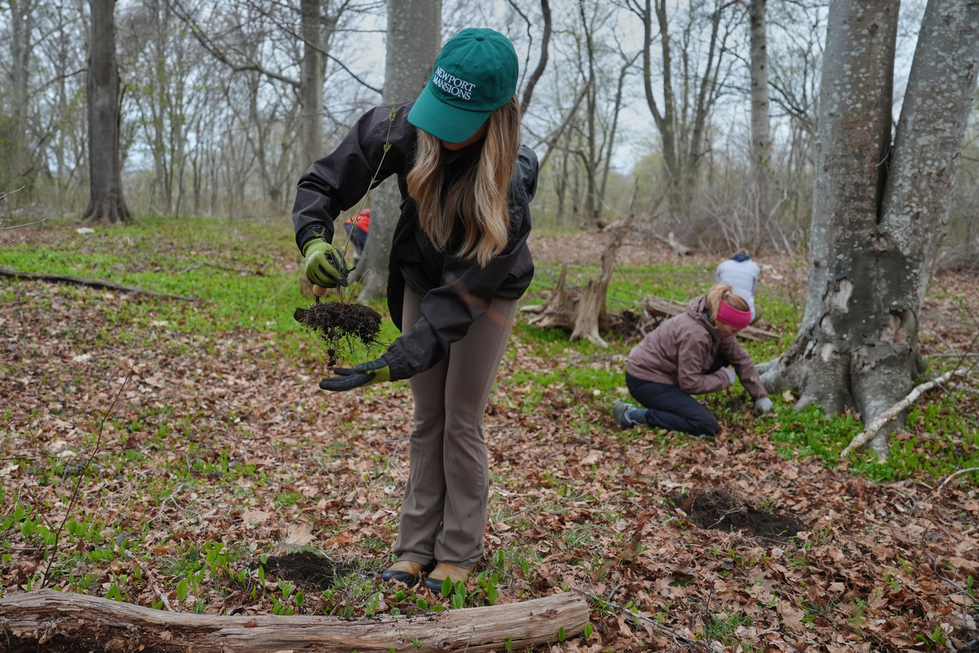 Trees are magic. In Newport, volunteers are working to expand their healthy reach | iNFOnews.ca