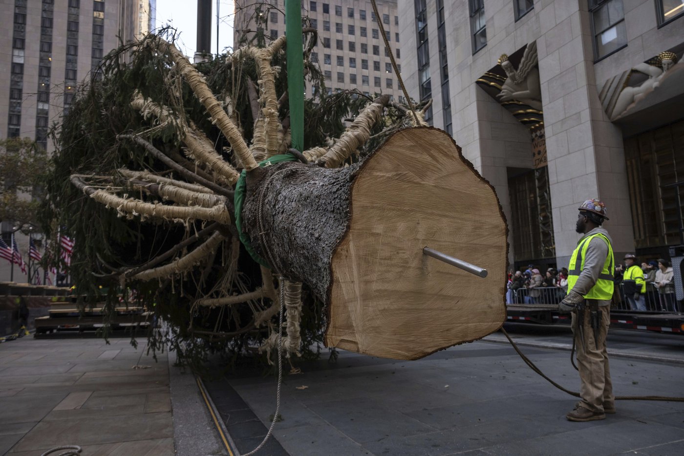 Haul out the holly! Rockefeller Center Christmas Tree arrives in New York City | iNFOnews.ca