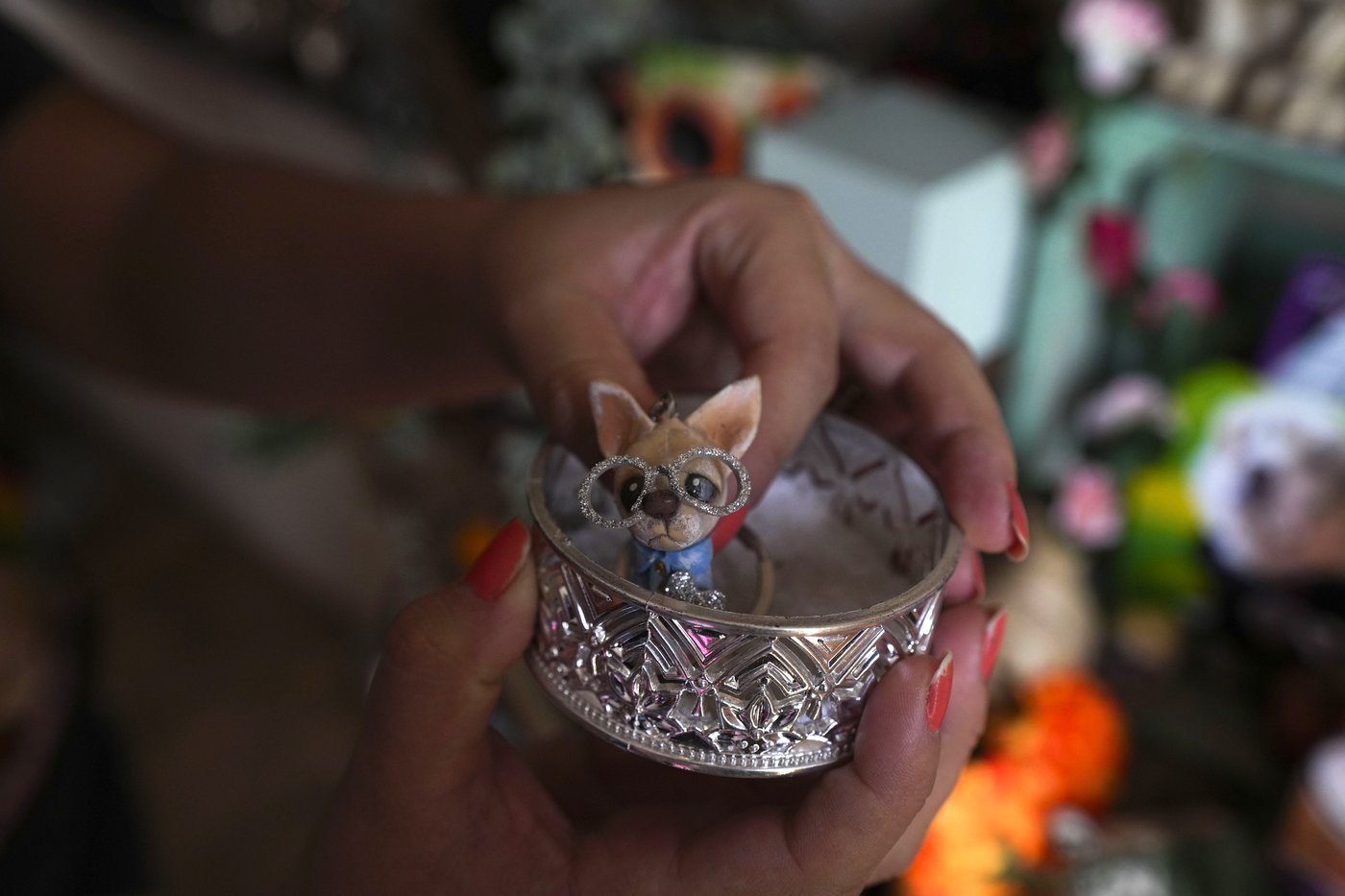 Pets join Mexico's Day of the Dead celebrations, as Fido and Tiger get their own altars | iNFOnews.ca Pets join Mexico's Day of the Dead celebrations, as Fido and Tiger get their own altars | iNFOnews.ca