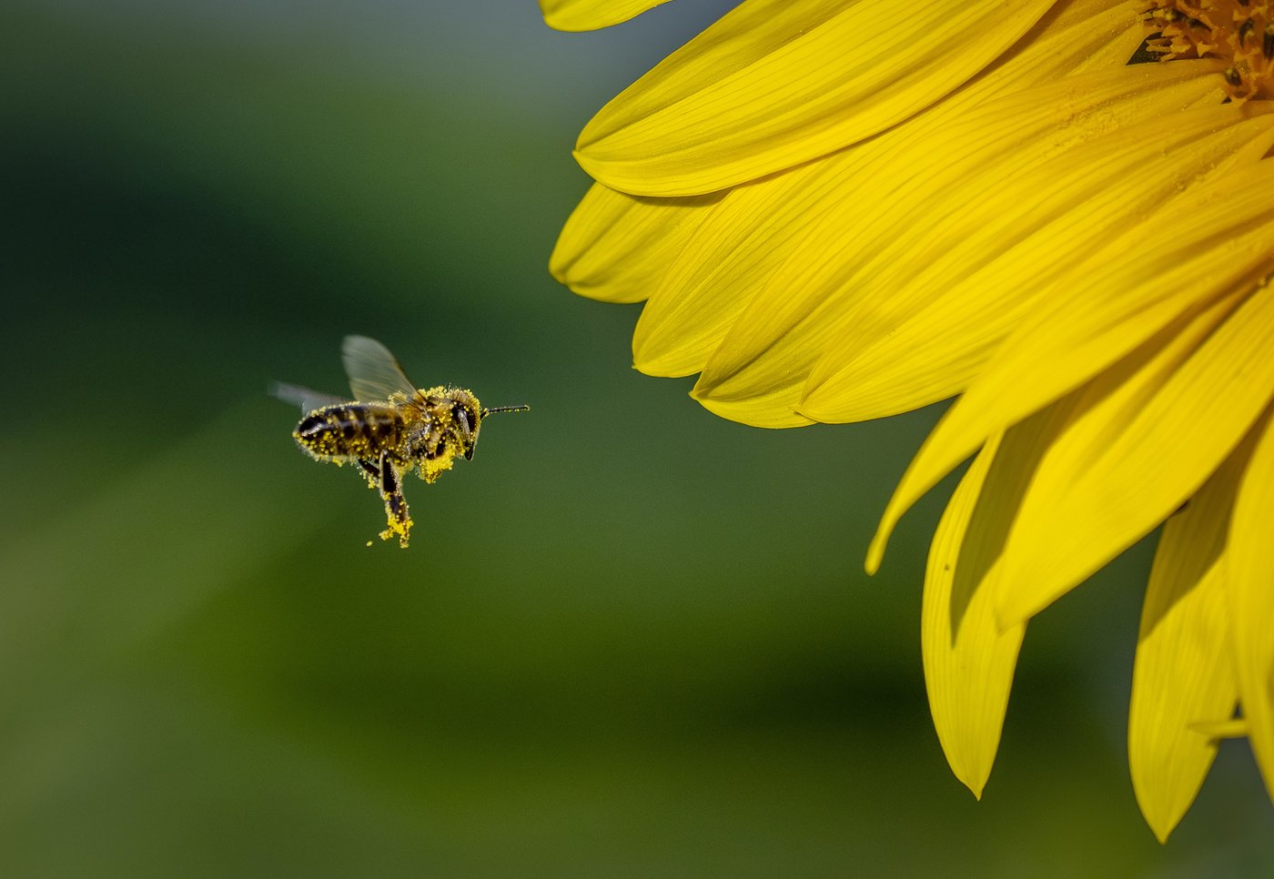 PHOTO COLLECTION: Climate Environment Germany Nature | iNFOnews.ca