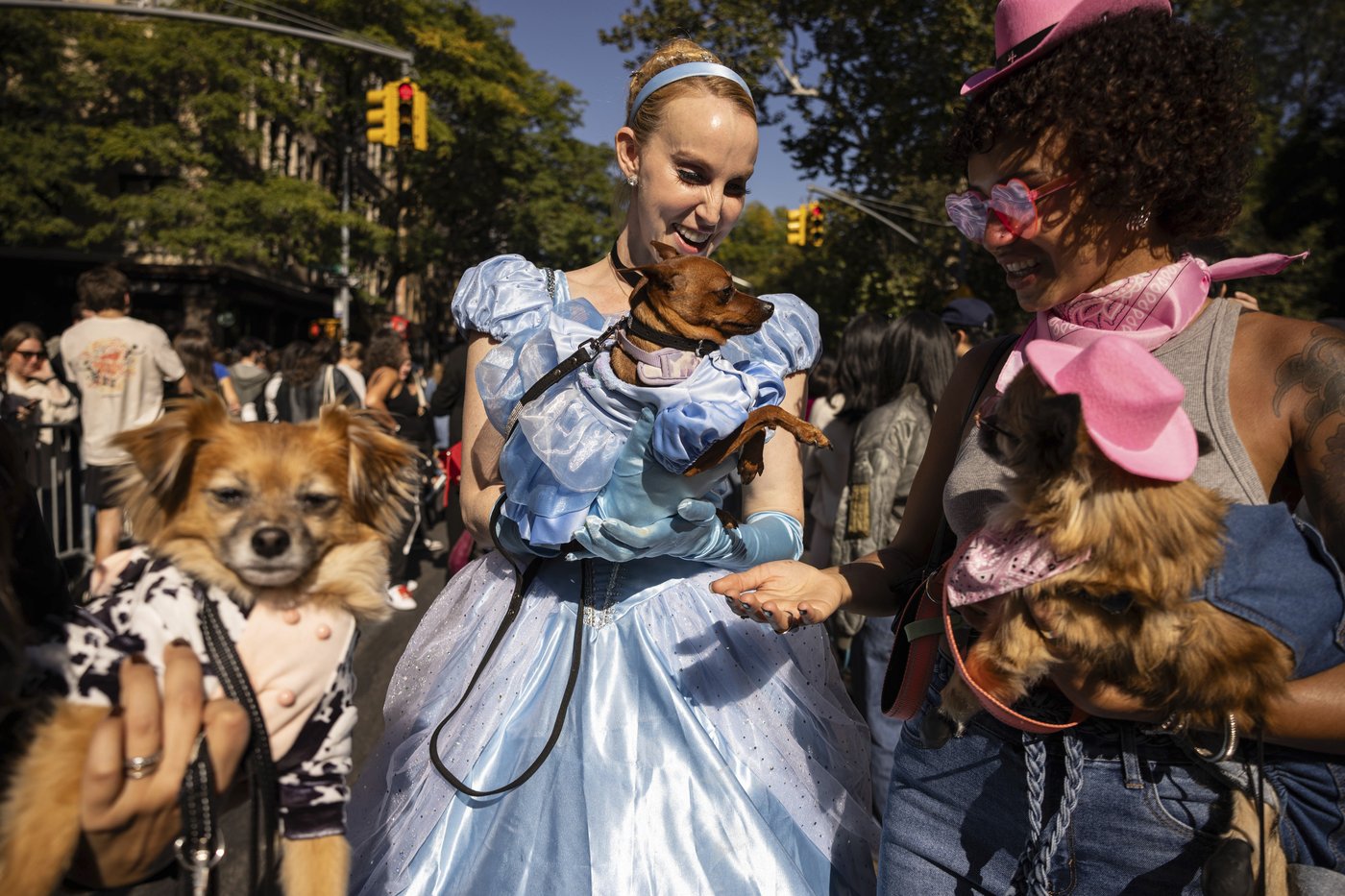 Pups on parade: Dogs dressed to the nines for annual New York City Halloween event | iNFOnews.ca