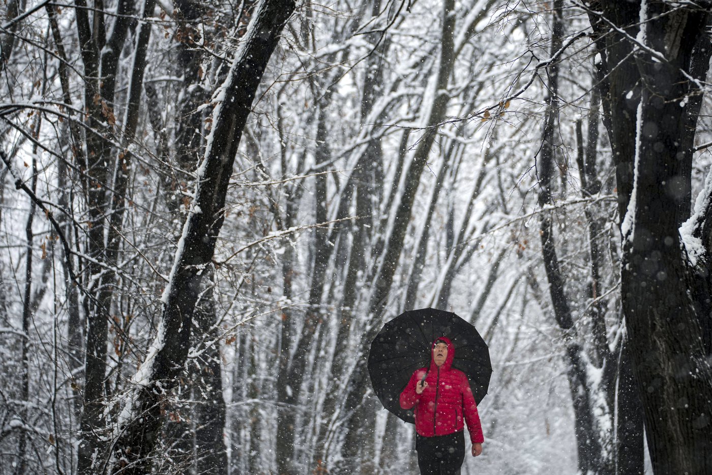 Balkans snowstorm leaves tens of thousands of homes without power and causes traffic chaos | iNFOnews.ca Balkans snowstorm leaves tens of thousands of homes without power and causes traffic chaos | iNFOnews.ca