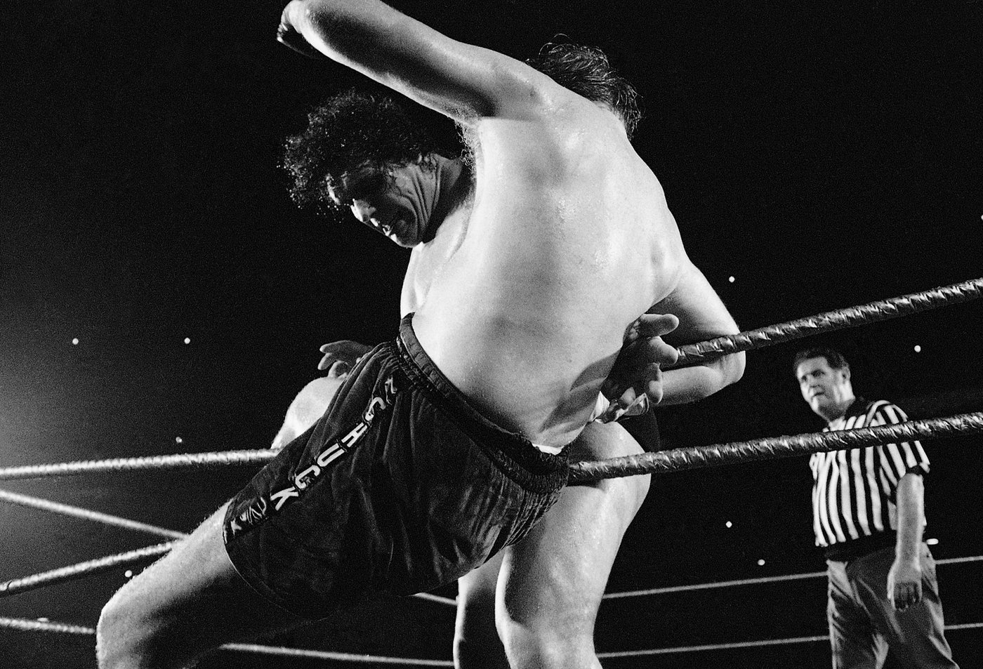 Tiny town in North Carolina honors towering Andre The Giant with roadside marker | iNFOnews.ca