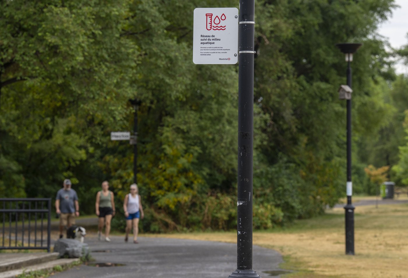 Low water levels in Quebec rivers spur navigation warnings, watering bans | iNFOnews.ca Low water levels in Quebec rivers spur navigation warnings, watering bans | iNFOnews.ca