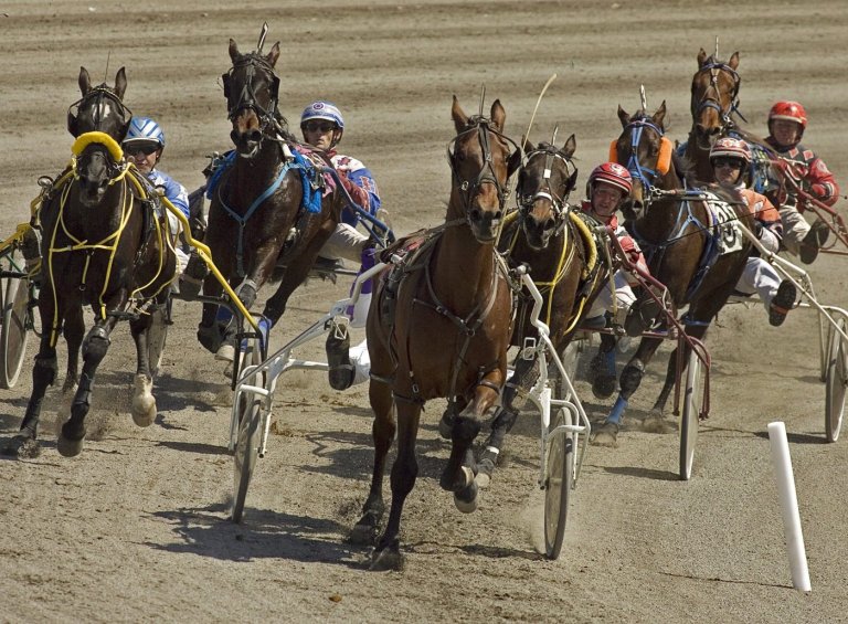 Odds On Mr Mamba draws No. 3 hole for Pepsi North America Cup harness race | iNFOnews.ca