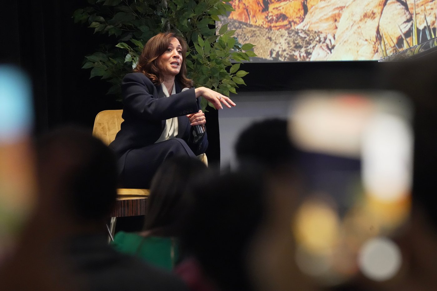 Facing intense internal pressure, DNC releases postelection autopsy that criticizes Kamala Harris | iNFOnews.ca